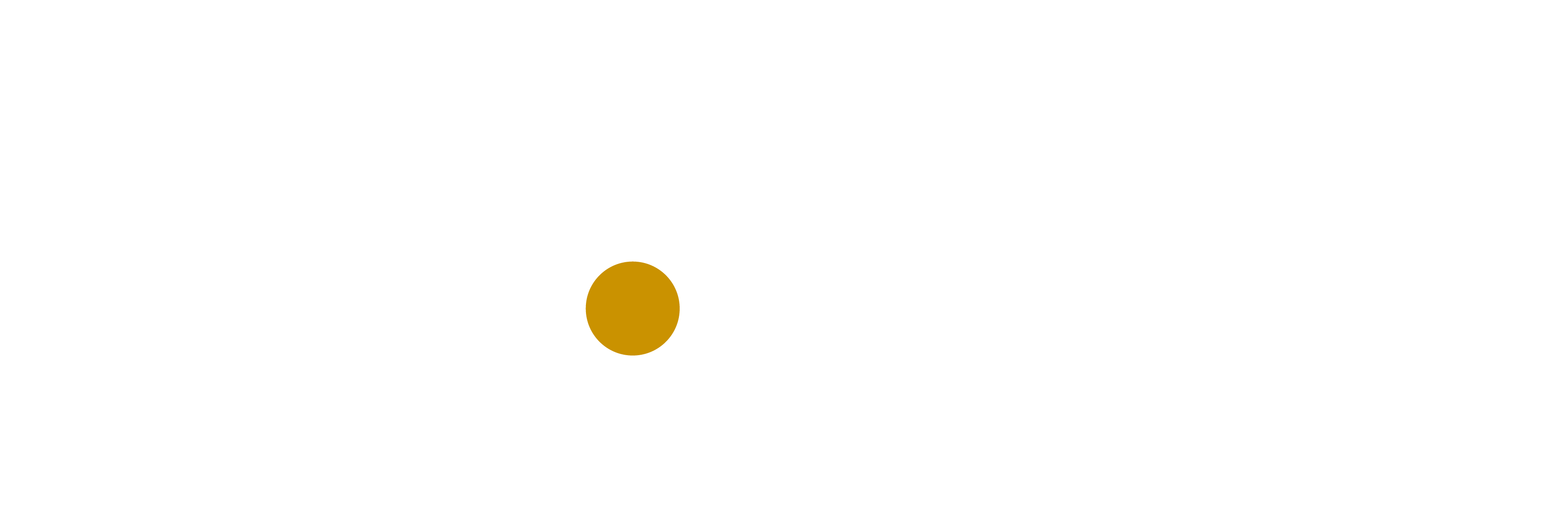 Logo Icobo2